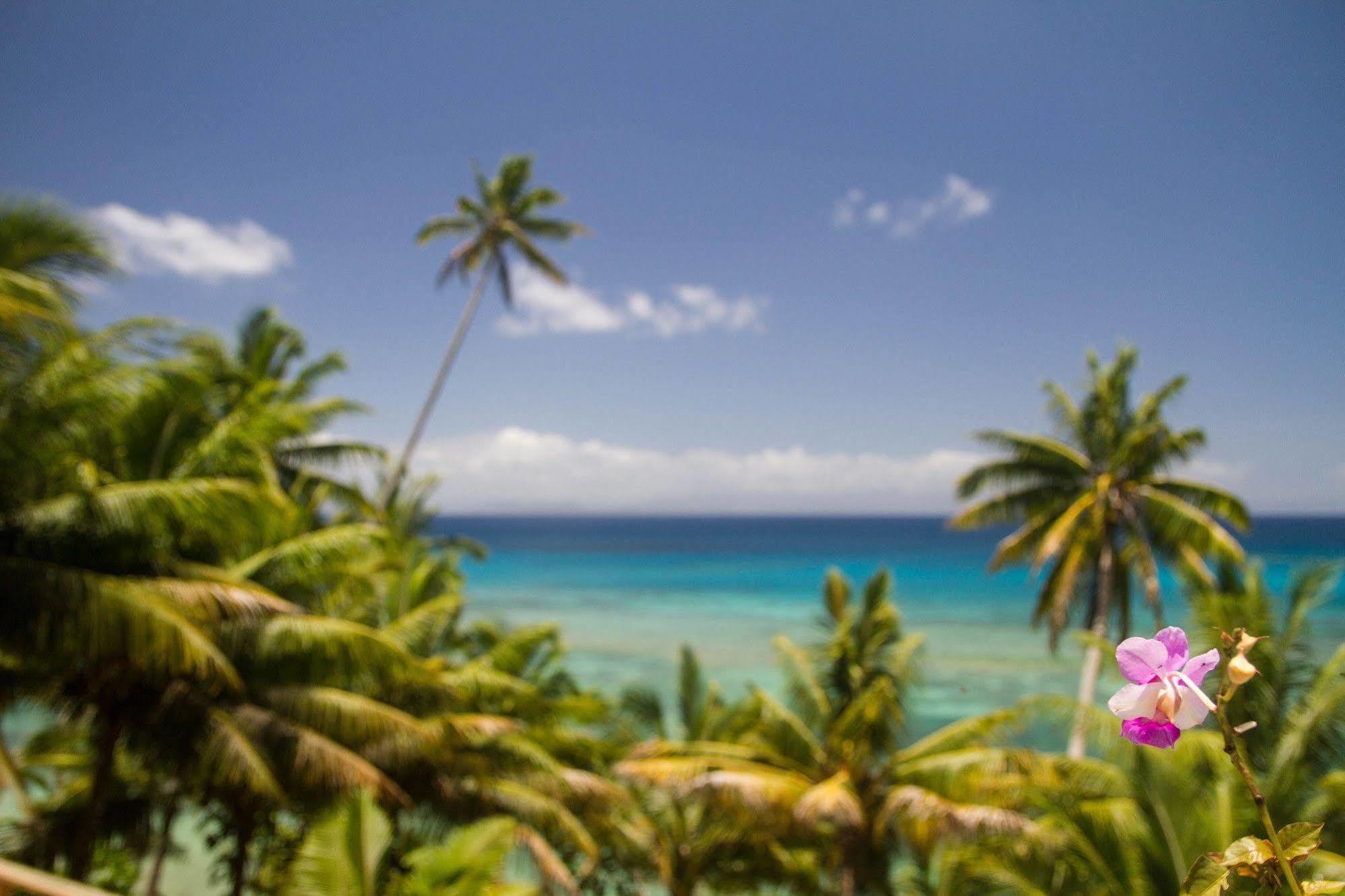 Taveuni Palms Resort Matei Exterior photo